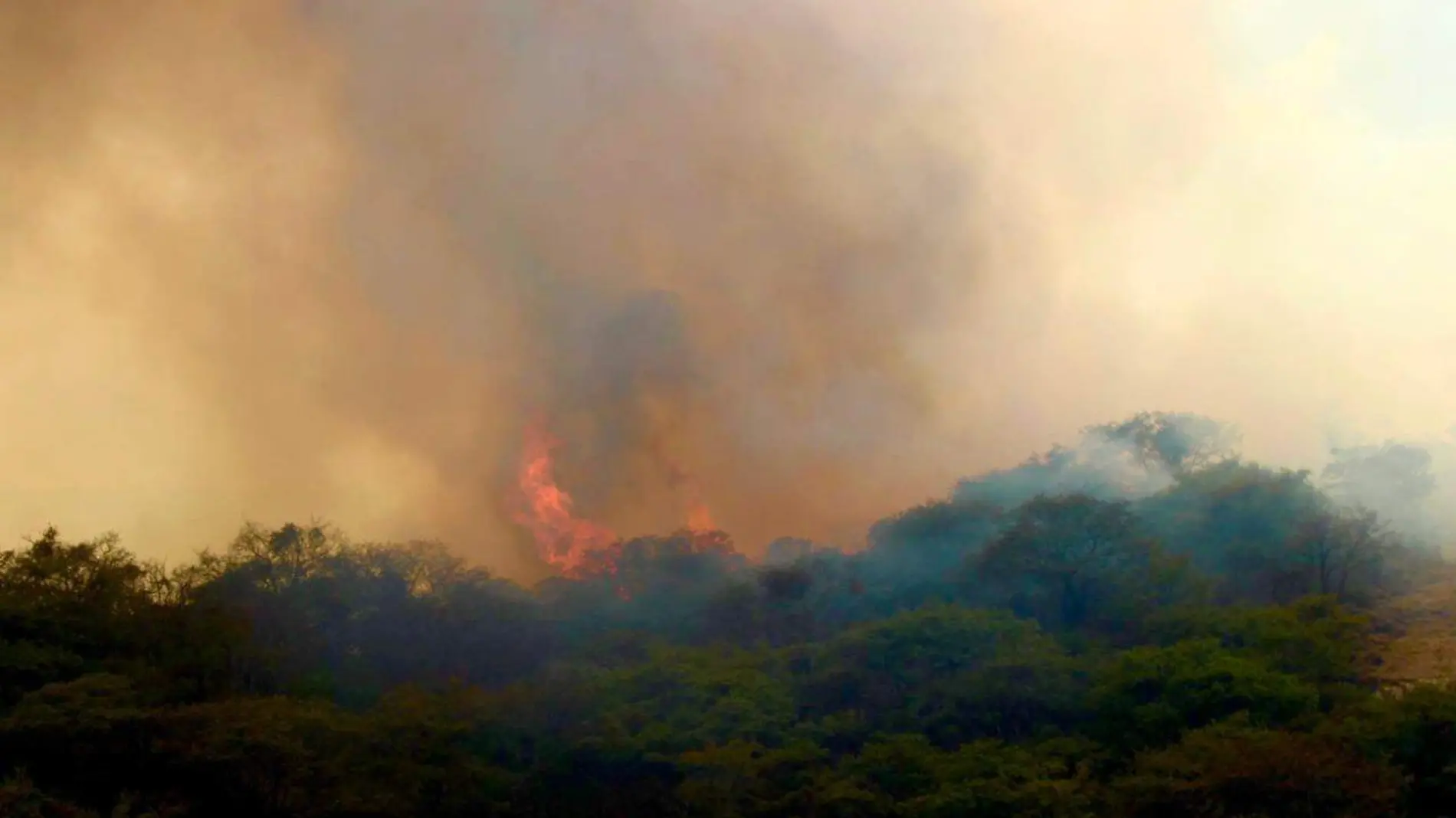 incendio en el aguaje sierra